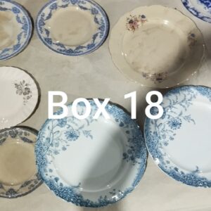 vintage Blue and White Floral Plates