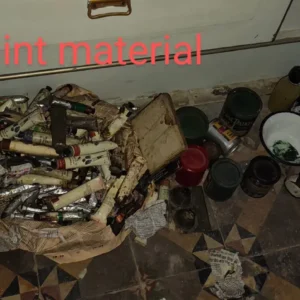 Paint material